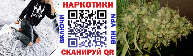 Галлюциногенные грибы Воронеж