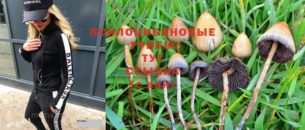 тгк Лиски