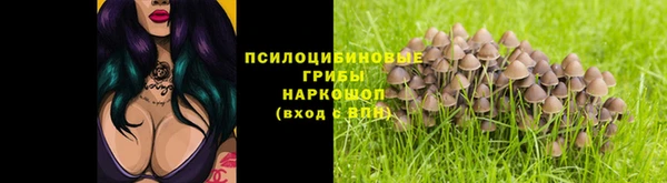 2c-b Липки
