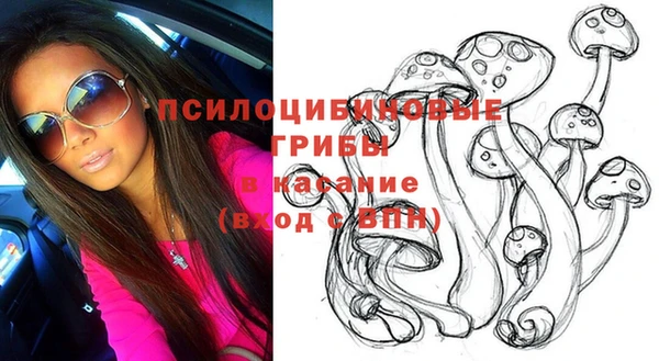 тгк Лиски
