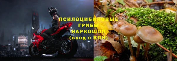 тгк Лиски