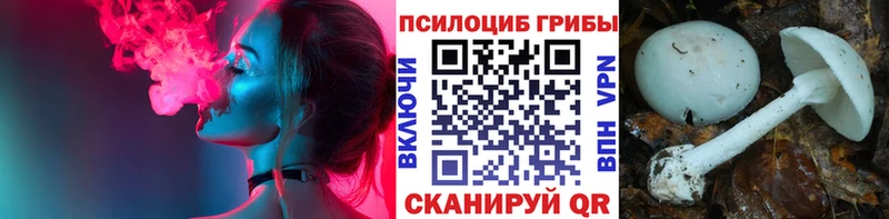 Галлюциногенные грибы мицелий  Воронеж 