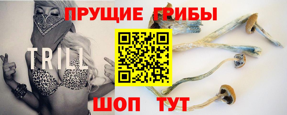 Псилоцибиновые грибы прущие грибы Воронеж